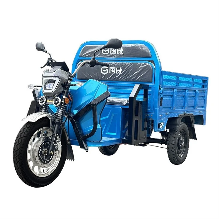 Factory Direct Safe Electric Tricycles 2 Seater 1500W Tricycle Electric Bike For Adults Electric Tricycle Rain Protection
