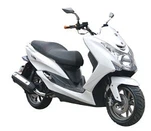 بالغوں کے لئے روڈ سکوٹر آف